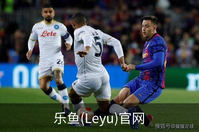 乐鱼(Leyu)官网团队与体育内容